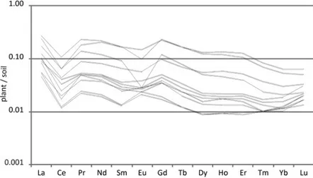 Figure 3 - REE patterns of plants normalized against the average contents in soils.