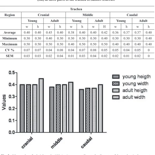 TABLE II
