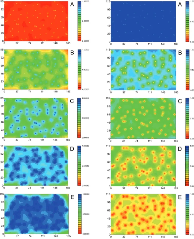 Figure 5: Image maps of the sum of weights for primary variable (left) and secondary variable’s weight (right) considering 60 points