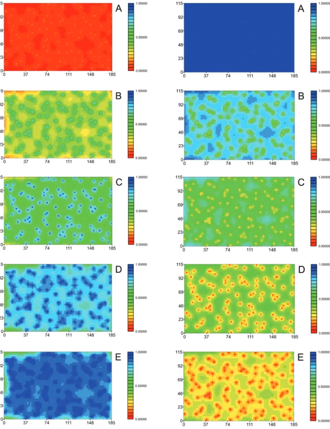 Figure 6: Image maps of the sum of weights for primary variable (left) and secondary variable’s weight (right) considering 104  points