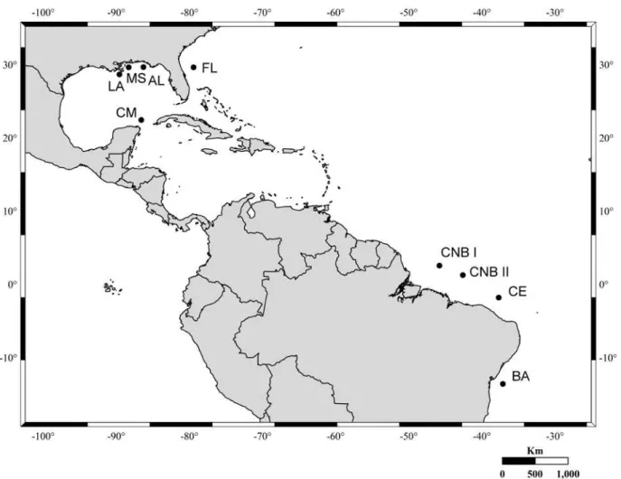 Fig. 1 - Locations of the areas in which the specimens of L. purpureus (Brazil) and L