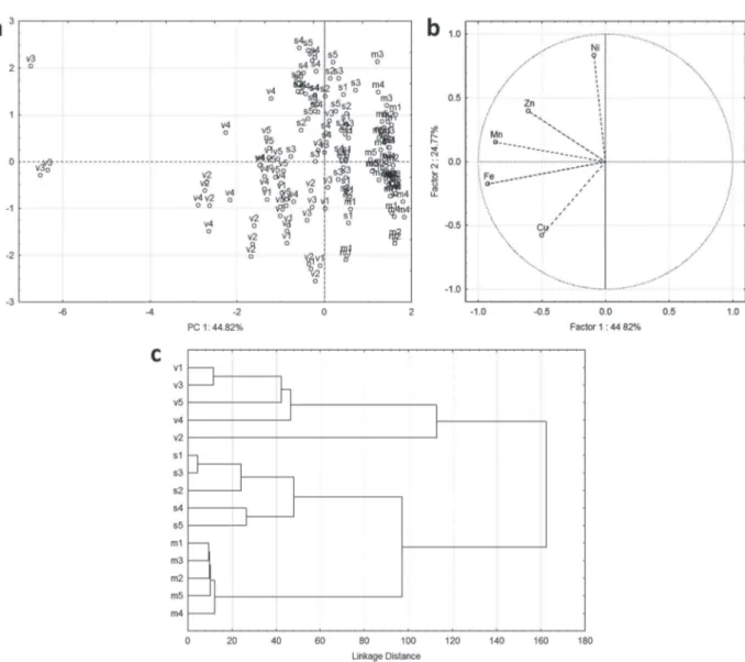Figure 2 - Multivariate analysis of data obtained from metal determination in tissues of L