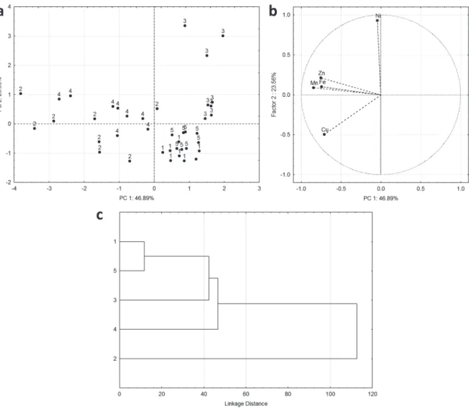 Figure 3 - Multivariate analysis of data obtained from metal determination in viscera of L