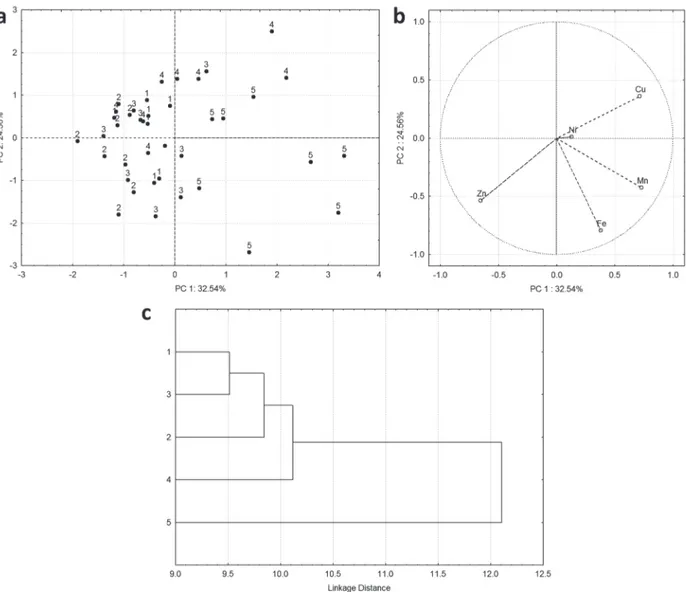 Figure 5 - Multivariate analysis of data obtained from metal determination in muscle of L