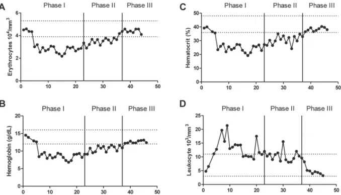 Figure 1 - Hematological parameters analyzed during phases I, II and III. Erythrocytes count (A), hemoglobin level (B),  hematocrits  (C) and leukocytes count (D)