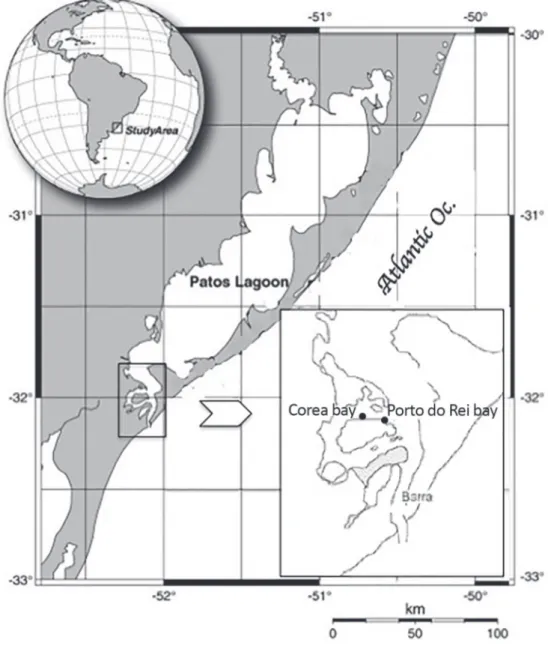 Figure 1 - Study area in the Patos Lagoon estuary, Southern Brazil: Coreia and Porto do Rei bays.
