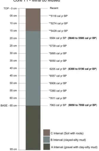 Fig. 3 - Chronological framework for the sedimentary profile of the T1 core (Mina do Museu) showing the calibrated radiocarbonic  age (cal yr BP), the interpolated ages (*) and the extrapolated ages (**)