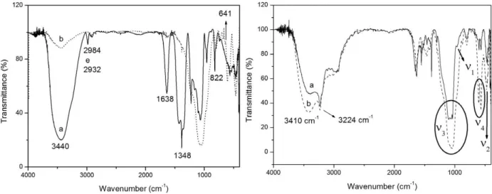 Figure 7 brings the SEM images obtained for HAS  treated at 110°C.