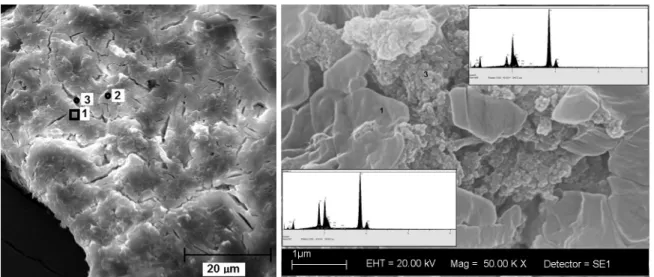 Figure 7 - SEM micrograph for HAS treated at 110°C.