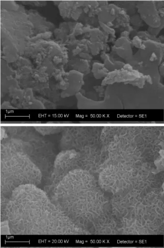 Figure 9 -  SEM micrographs of the samples treated at (a) 110°C  or (b) 900°C after contact with SBF for three days