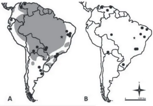Figure 2  - Maps with the current distributions in South America (in grey; adapted of Wilson and  Mittermeier 2009) and fossil record in South America (black dots): A - P