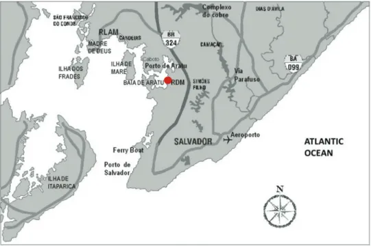 Fig. 1 - Map of Baía de Todos os Santos bay, showing the sampling site (BNA) of this study.