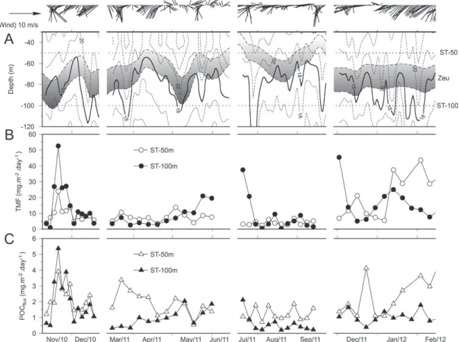 Figure 2 - (A) Regional winds vectors obtained from ASCAT Program, temporal variability of the water column thermal structure
