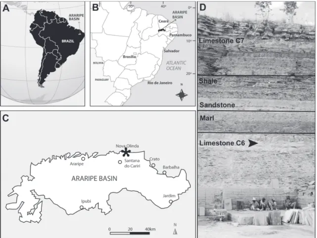 Figure 1 - A. Location of Araripe Basin in South America. B. The Araripe Basin bordering the states of Ceará, Piauí  and Pernambuco in northeastern Brazil