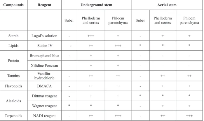 Table I and Figure 2 show the results  of histochemical tests performed on the  underground stem bark