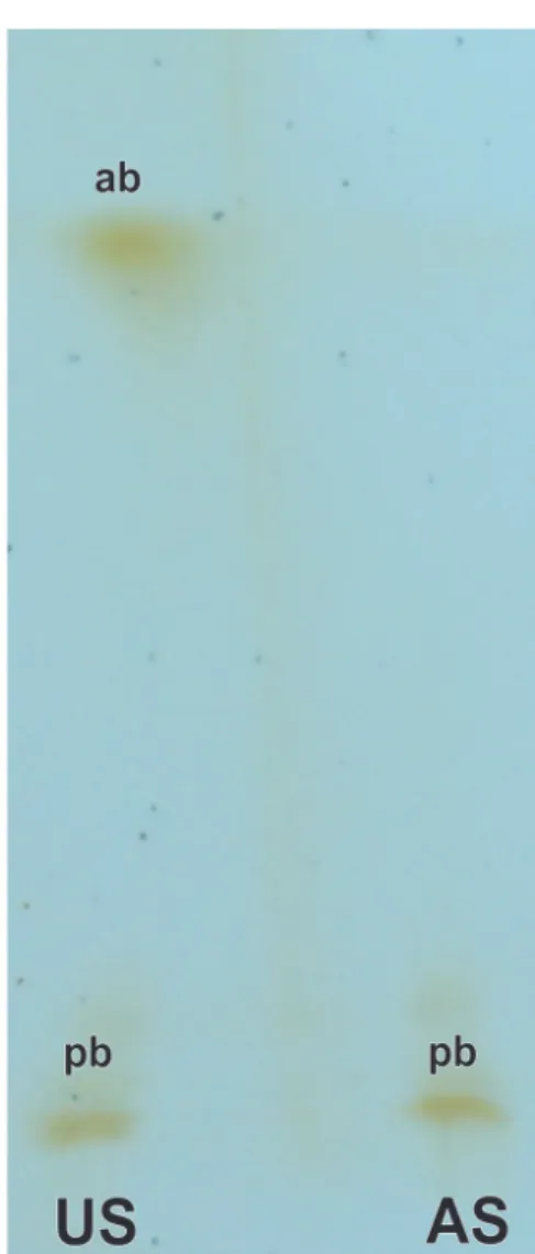 Figure 5 - Thin layer chromatography (TLC) of terpenoids  and other volatile compounds from extracts of bark powder of  the underground stem (US) and aerial stem (AS) of Tontelea  micrantha