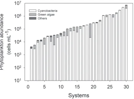 Figure 2 - Phytoplankton abundance (log scale) sorted by major taxonomic group,  in 30 fishponds in southeastern Brazil.