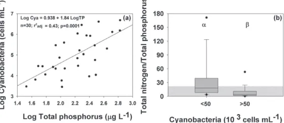 Figure 3 - (a) Relationship between Log Total phosphorus concentrations and Log Cyanobacterial abundance,  showing the higher cyanobacterial abundance in higher TP concentrations; (b) Box plots of TN:TP ratios (by  atom) in the fishponds where cyanobacteri