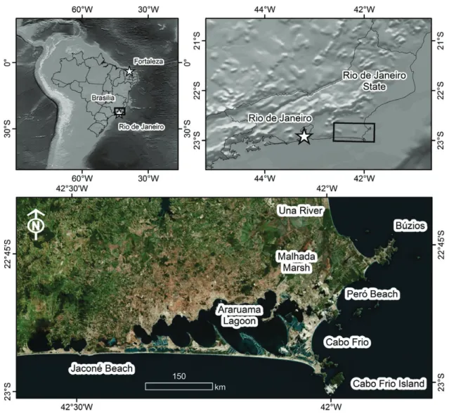 Figure 1 - Location of the study area in the state of Rio de Janeiro, southeastern Brazil.