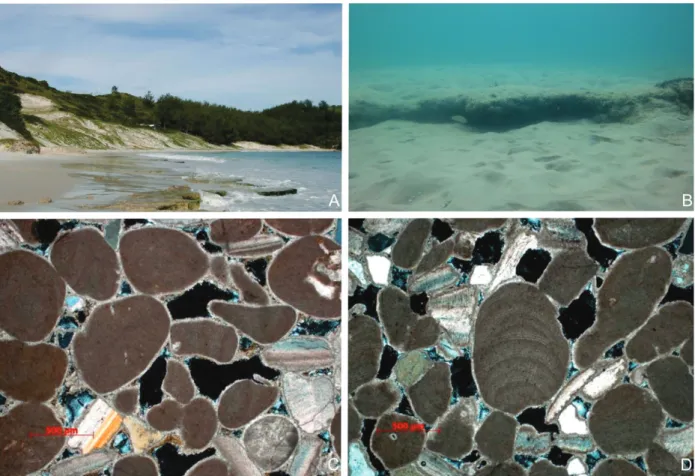 Figure 3 - Occurrence of beachrocks on Cabo Frio Island, southeastern Brazil. A:  Beachrocks on the beach surface, at 0.0 m,  current mean level (248722 Beta sample dated at 7910 - 7690 cal yr BP [Table I])