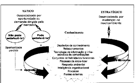 Figura 7: Estruturação do processo de gestão do Conhecimento  Fonte: Bukowitz e Williams (2002: 24) 