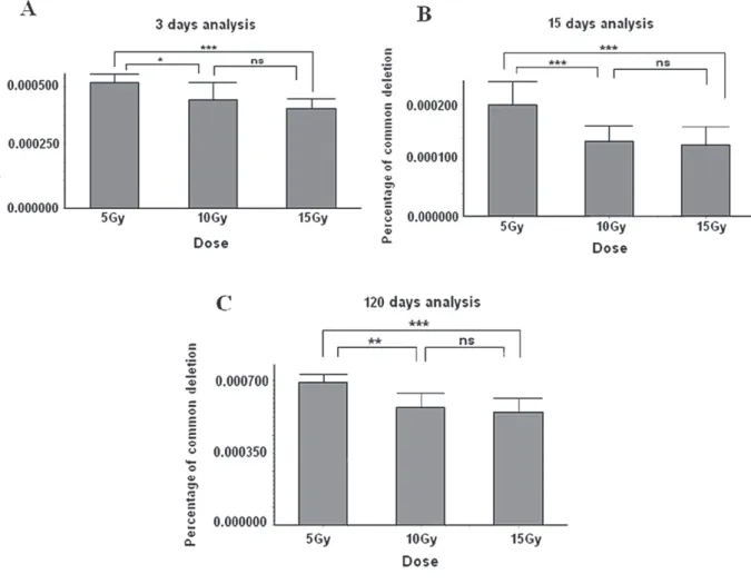 Figure 2 - Comparative analyses between the irradiated groups with doses of 5, 10 or 15 Gy at 3 days (A), 15 days (B) and  120 days (C) after irradiation
