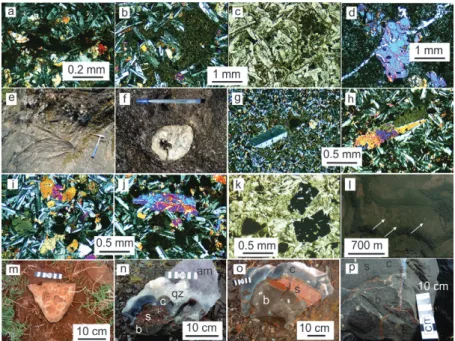 Figure 3 - Photomicrographs and field photos of the eight studied lava flows in the Entre Rios mining district