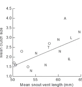 Figure 5 - Relationship between mean clutch size and mean  snout-vent length (mm) of different species and populations of  cnemidophorines along the eastern coast of Brazil