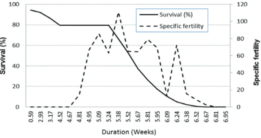 Fig. 1 - Fertility (mx) and survival rate (lx) of Spodoptera albula reared on  artificial diet at 25 ± 1°C, 70 ± 10% RH and a 14 hour photo phase.