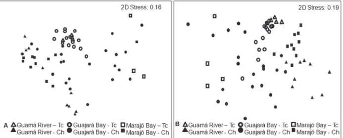 Figure 3 - Multivariate multidimensional scaling analysis by zone (Guamá River, Guajará Bay and Marajó Bay) and environment  (Main channel and Tidal creek): A) abundance percentage and B) biomass percentage.