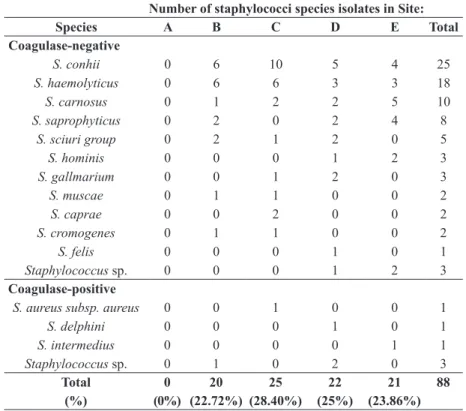 Table II shows the antibiotic resistance  of  Staphylococcus species isolated from polluted 