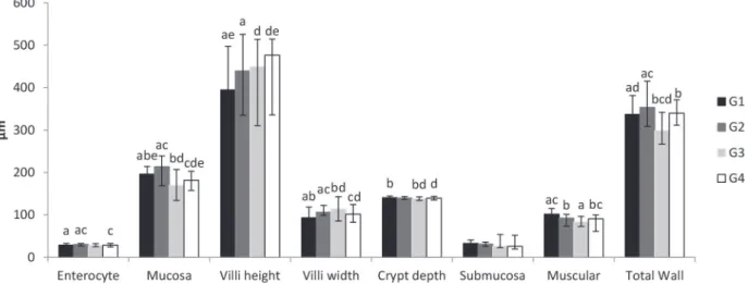 Figure 1 - Morphometric analysis of jejunal wall of rats submitted to protein restriction and supplemented with probiotics