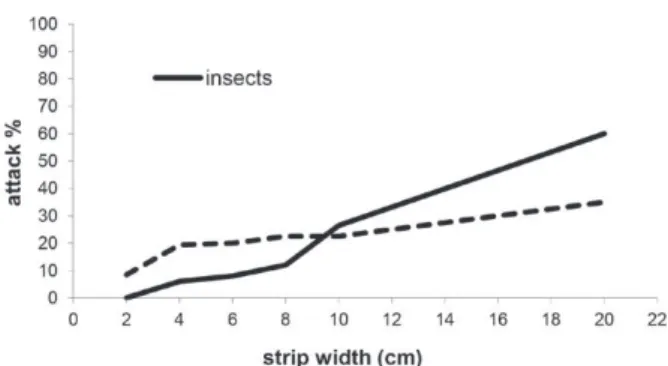Figure 5 - Percentage of insect and disease attacks in Drimys  brasiliensis measured on different widths of strips.