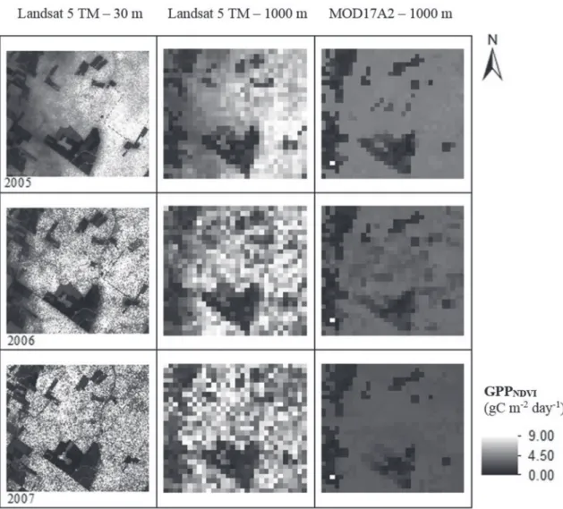 Fig. 9 - Maps of annual average GPP estimated from Vegetation Photosynthesis Model (VPM) using Normalized  Difference Vegetation Index (NDVI) from Landsat 5 TM with 30 m and 1000 m of spatial resolution and by MOD17A2  MODIS GPP Product.