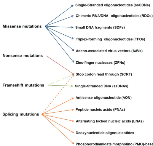 Figure 1 - Mutation-targeted therapies reviewed in this paper. 