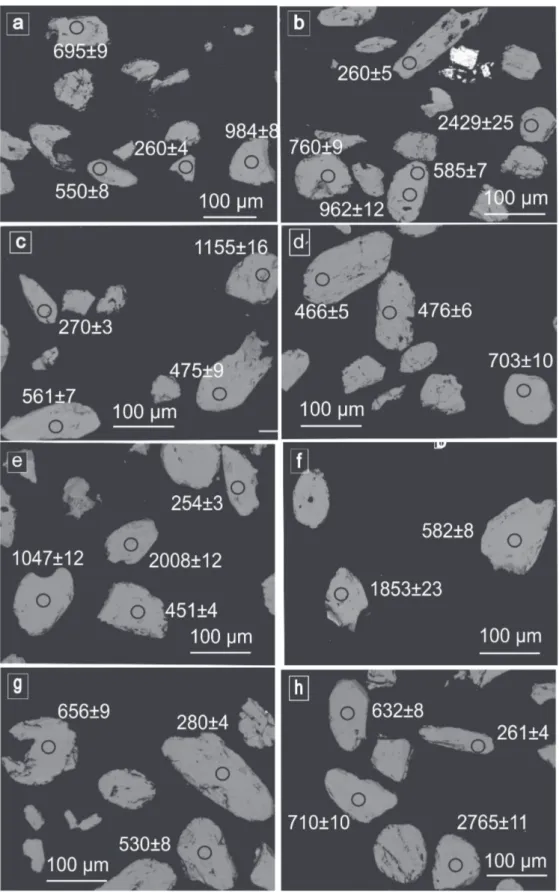 Figure 4 - Backscattered electron images of analyzed zircons, sandstone sample VIS-1/2