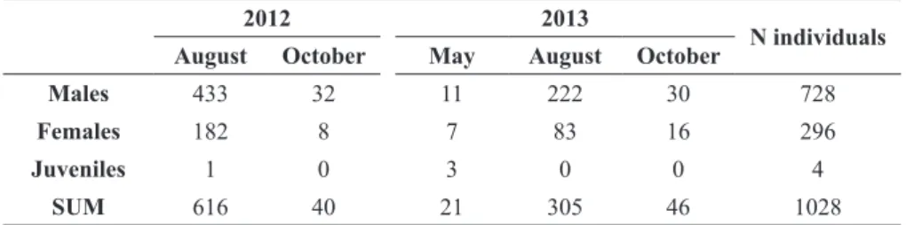 Figure 2 - Population structure (SCL, straight carapace length) of  Podocnemis unifilis  captured in Terra do Meio  Ecological Station, Iriri River, 2012-2013