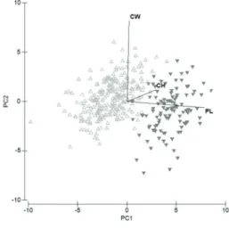 Figure 3 - Principal Component Analysis (PCA)  of morphometric measures of Podocnemis  unifilis males (∆, light gray) and females (▼,  dark gray) from Terra do Meio Ecological  Station, PA, 2013