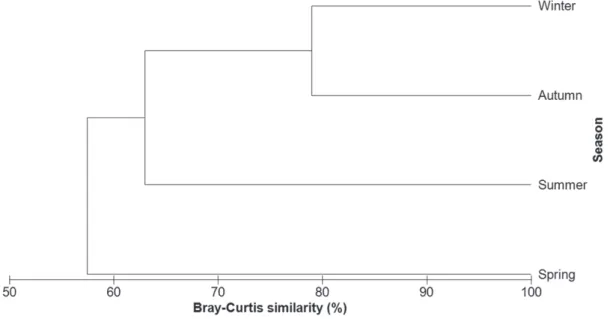 Figure 4 - Cluster of the seasonal analysis of the Bray-Curtis similarity carried out for the 29 food items consumed  by R