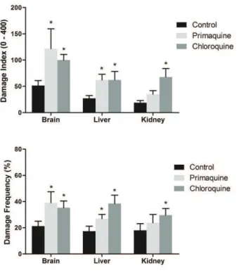 Figure 3 - Effect of 21 days of administration of primaquine  and chloroquine on frequency and index of DNA damage in  brain, liver and kidney of rats (n = 7 per group)