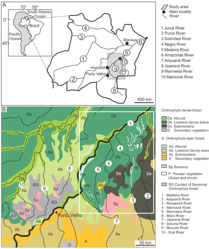 Figure 1 - A) Location of the study area and main rivers in Central Amazonia. B) Vegetation map of the study area (rectangle)  and its surroundings
