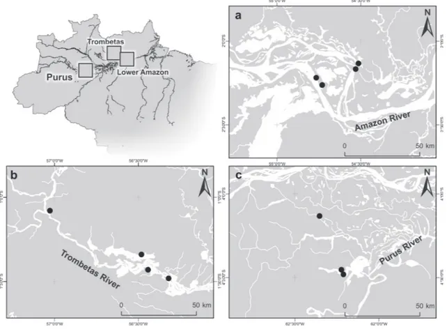 Figure 1 - Study areas: a - Lower Amazon River; b - Trombetas River; c - Lower Purus River.