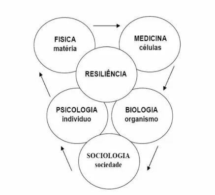 Figura 3 - Resiliência e multidisciplinaridade (Blandtt, 2007). 