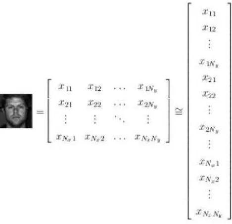 Figura 2.3 – Exemplo de concatenação de uma imagem [19]. 