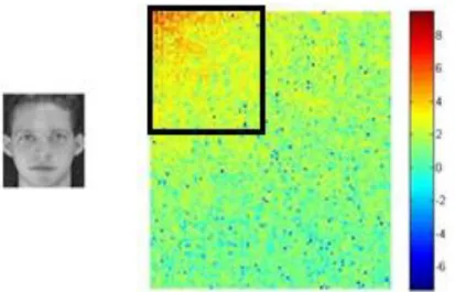 Figura 4.4 – 2D-DCT de uma face da base de dados da ORL e a seleção dos coeficientes mais  significativos