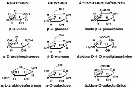 Figura 2. Açúcares que compõem as unidades de hemiceluloses [14]. 