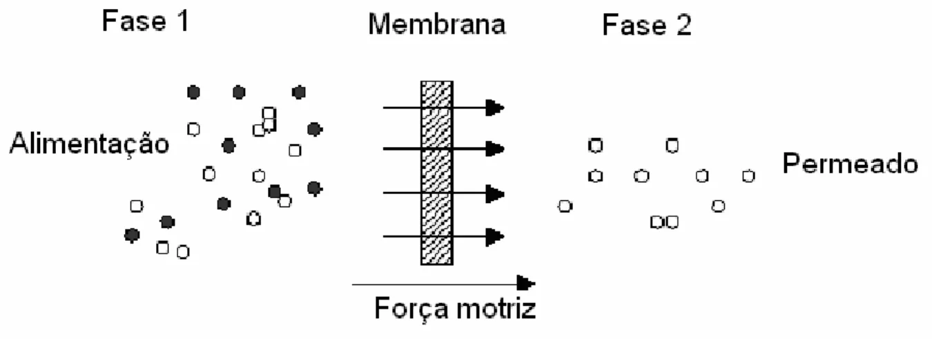 Figura 9. Representação esquemática de um sistema separado por uma membrana [18]. 