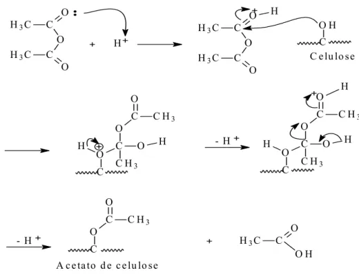 Figura 6: Mecanismo proposto para a reação de acetilação da celulose  9 . 