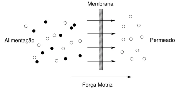 Figura 8: Representação esquemática do processo de separação por membranas  29