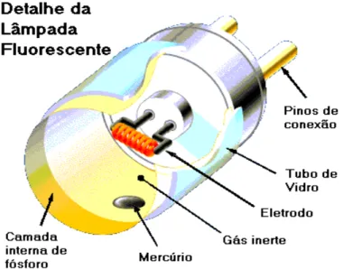 Figura 1.1 – Detalhe de uma lâmpada fluorescente. 